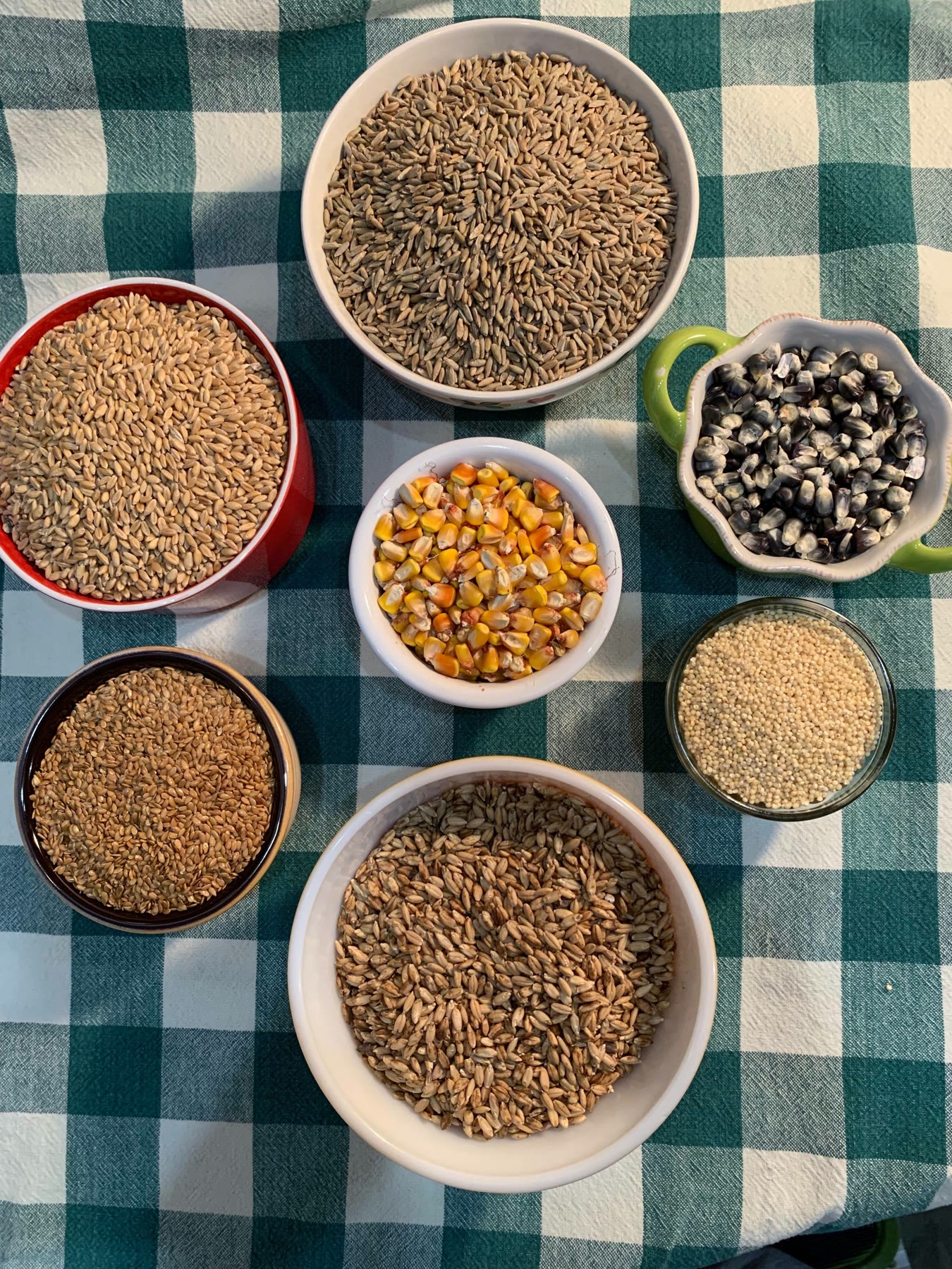Bowls of Venner Farm wheat, corn, barley and flax on a checked tablecloth