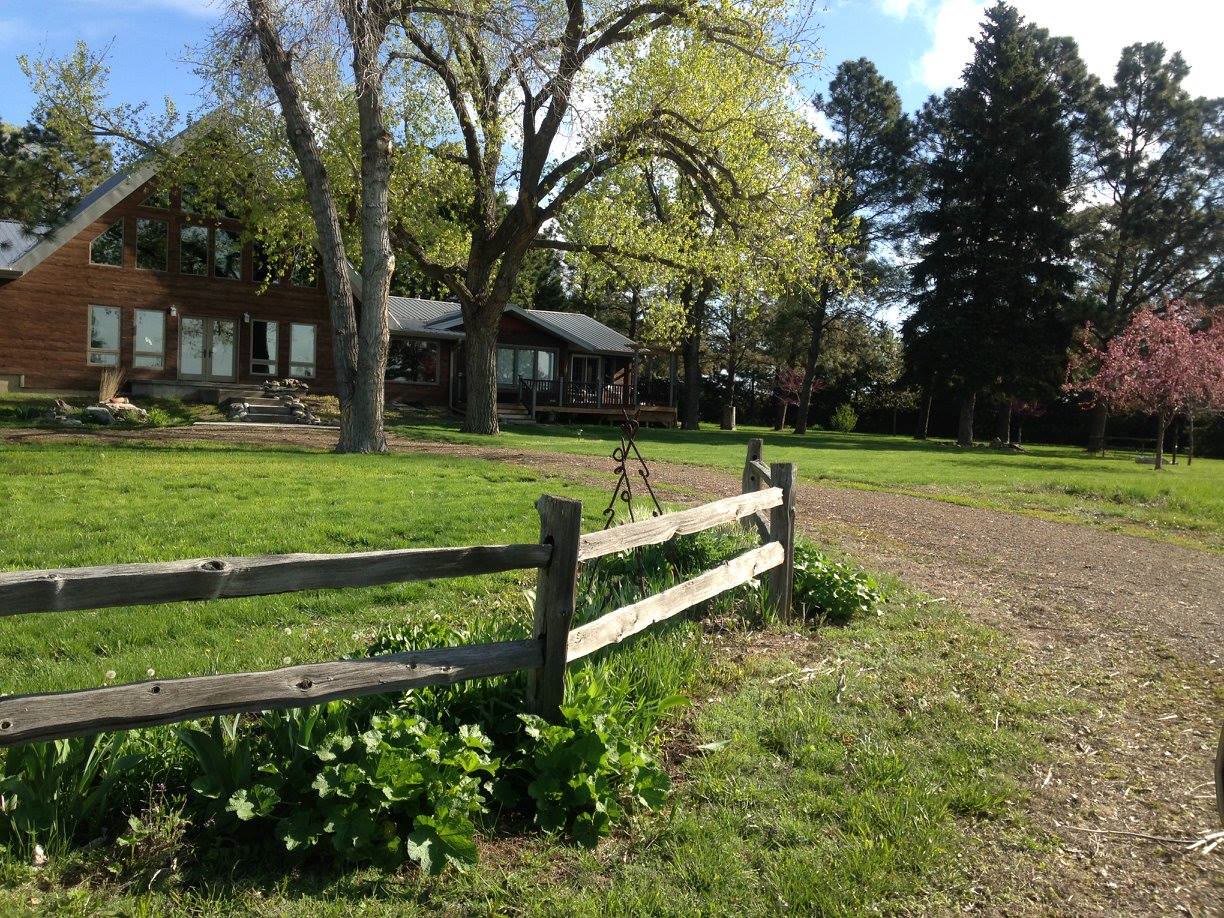 The Venner farmhouse under tall cottonwoods, with a split-rail fence along the lane